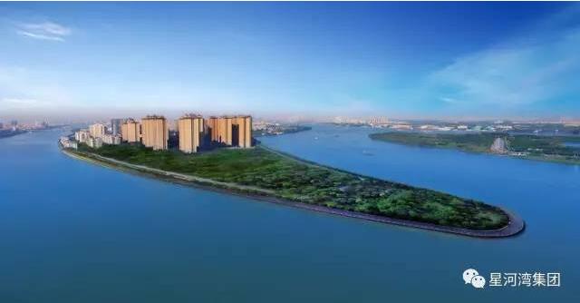 1526547858950116.jpg 4.jpg