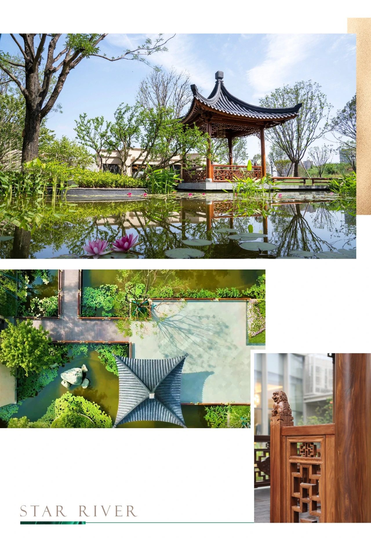 1731656656739619.jpg 1731656656739619.jpg